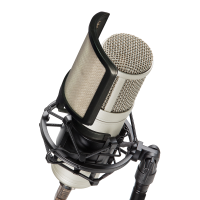 Excellent USB condenser microphone for recording vocals.<br />Cardioid polar pattern.&nbsp;<br />Great sound and design at a breakthrough price!<br /><br />
