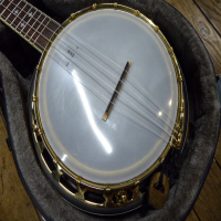 Good quality ukulele banjo in excellent condition with hard case.<br />